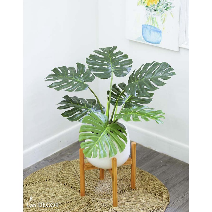💥 Cây giả - Cây lá xẻ monstera, cây trầu bà Nam Mỹ để bàn, trang trí nhà đẹp LanDecor