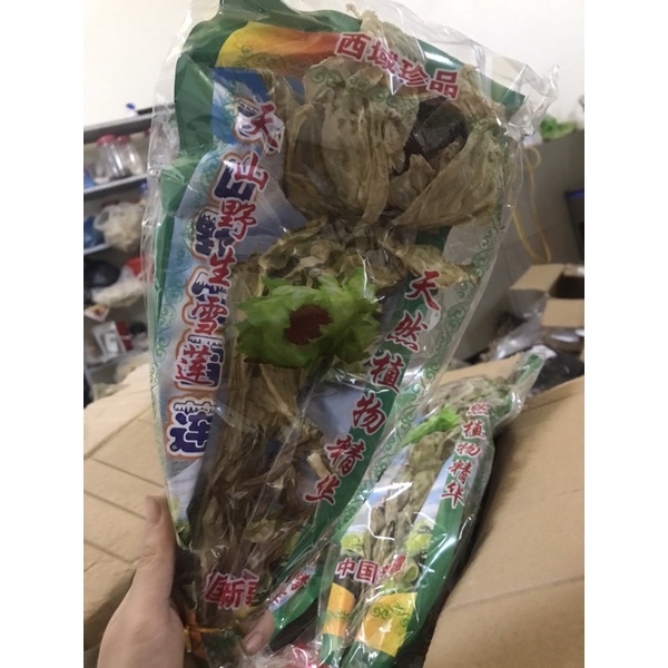 THIÊN SƠN TUYẾT LIÊN HOA 1 BÔNG