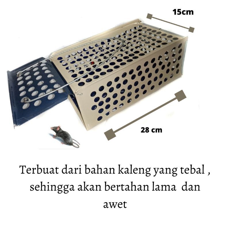 Bẫy Chuột Mini Tiện Lợi