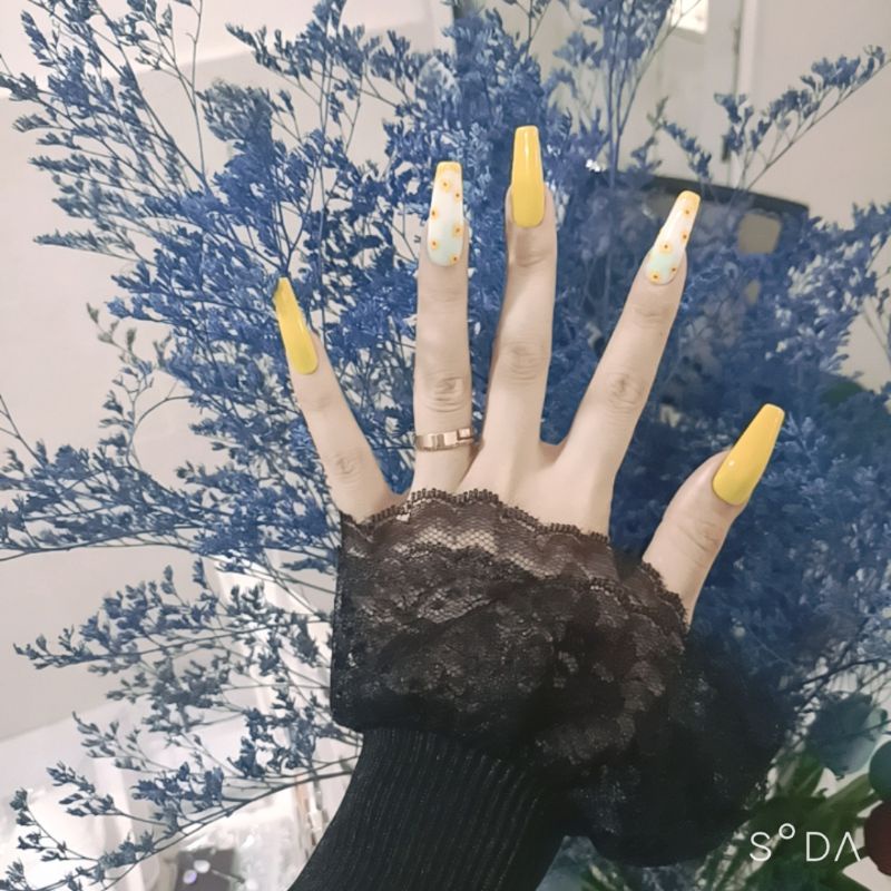Nail box móng úp giá rẻ