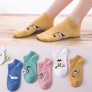 sét 5đôi tất mèo đuôi dài