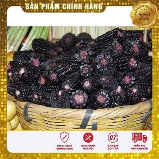 Hạt giống Ngô Nếp Tím dinh dưỡng ( gói lẻ 20 hạt)