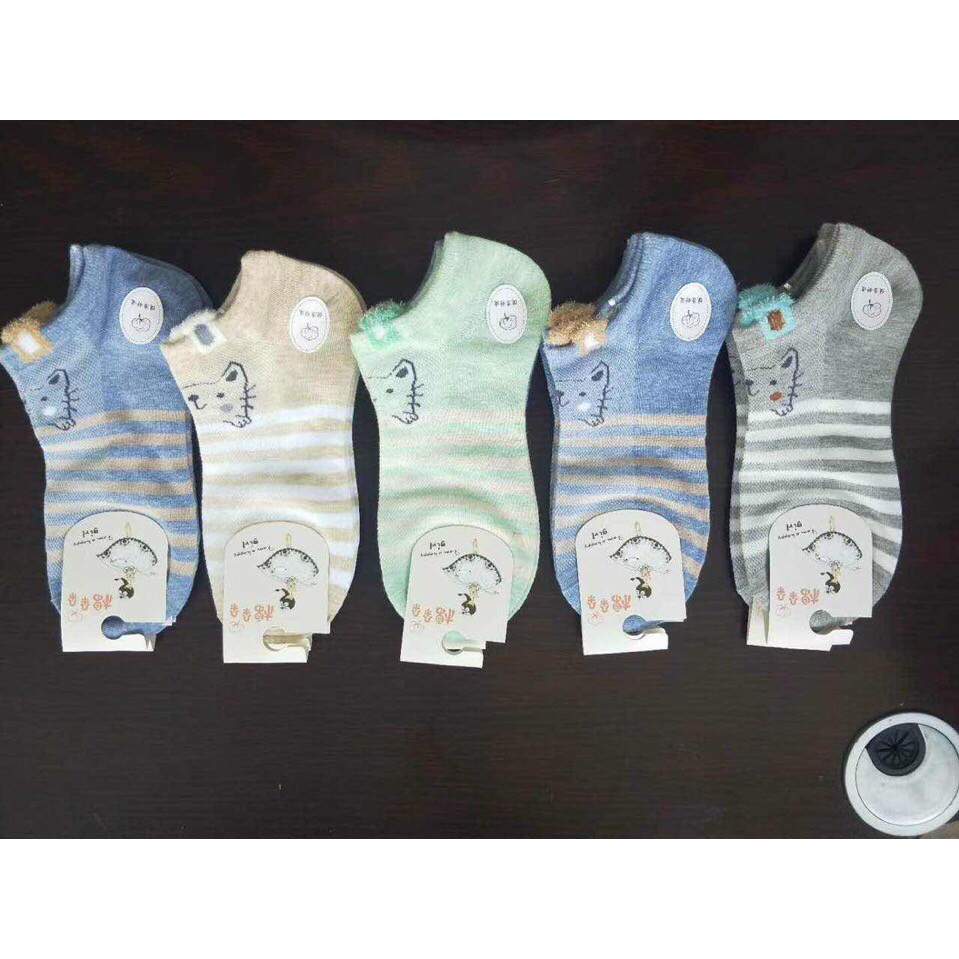 [Rẻ Vô Địch] Combo 5 Đôi Vớ Thời Trang Cổ Ngắn Thông Hơi