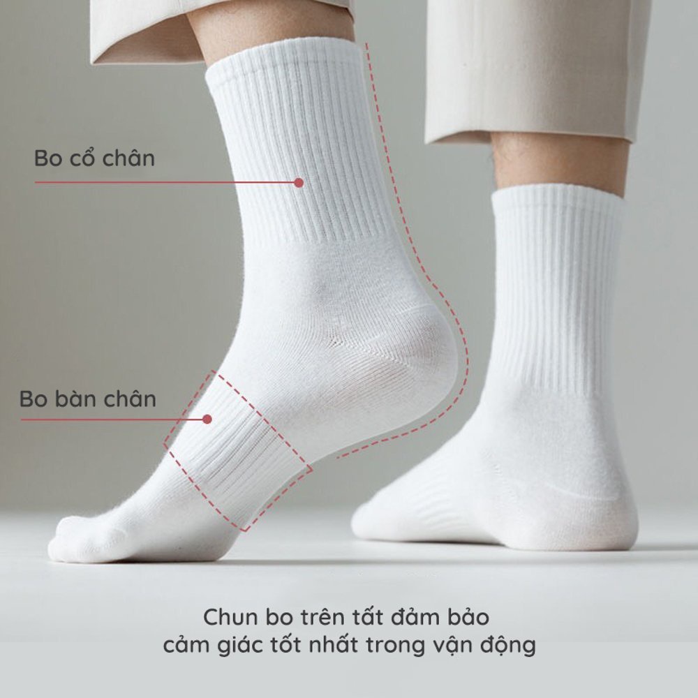 Tất nữ Choobe cổ cao trơn chất cotton co giãn 4 chiều thoáng khí phong cách Hàn Quốc màu Đen Trắng PK17