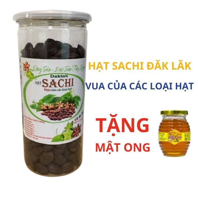 500gr Hạt Sachi Organic ĐăkLăk sấy chín, Hạt Sa chi Dak Lak đặc biệt ngon