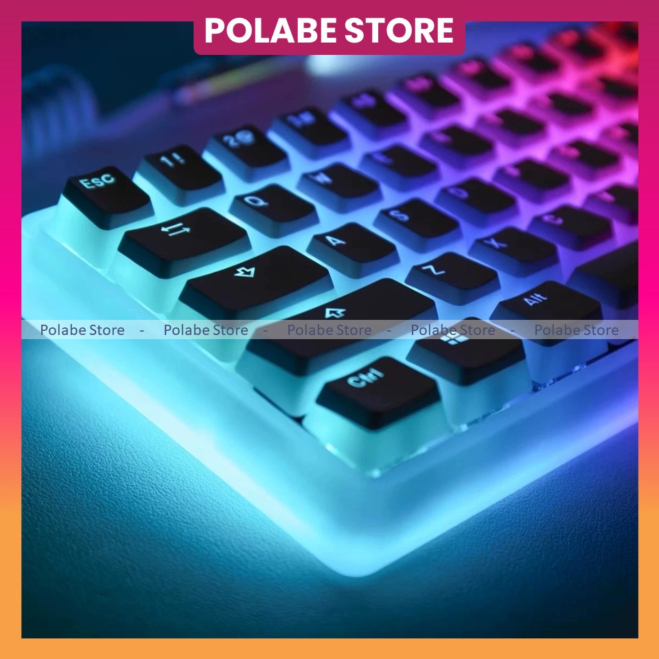 Nút bấm Keycap OEM PUDDING OEM Profile chất liệu PBT 2-Shot sử dụng trên nhiều layout bàn phím cơ - Polabe Store