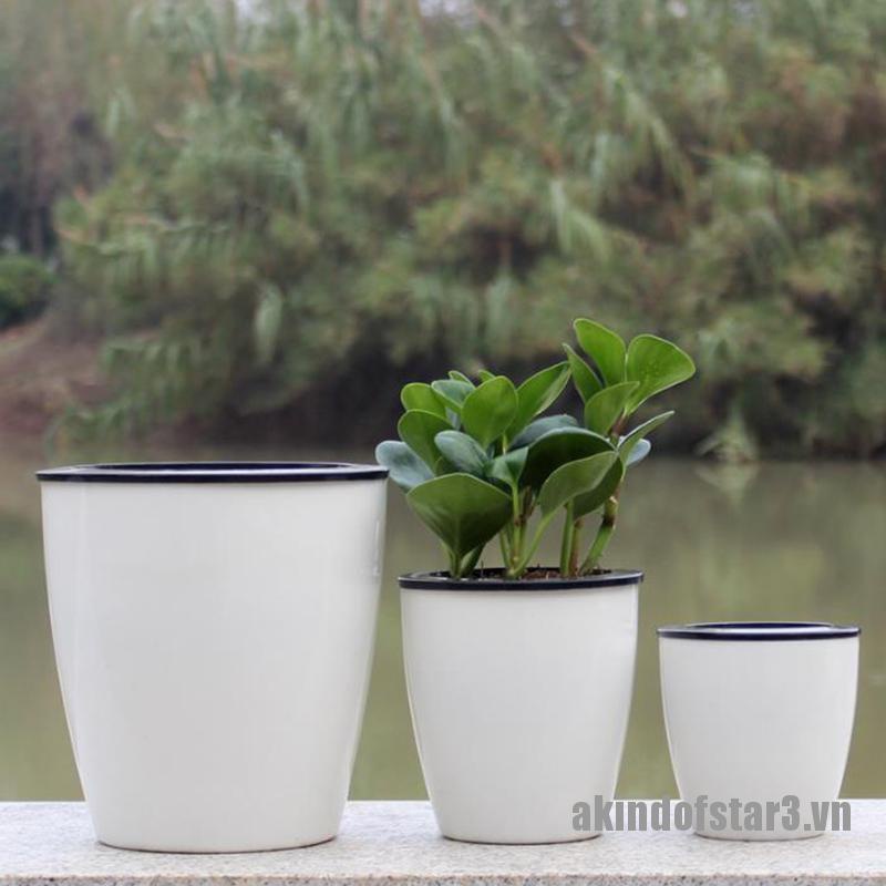 Chậu Trồng Cây Thủy Canh Hấp Thụ Nước Đa Năng Tiện Lợi