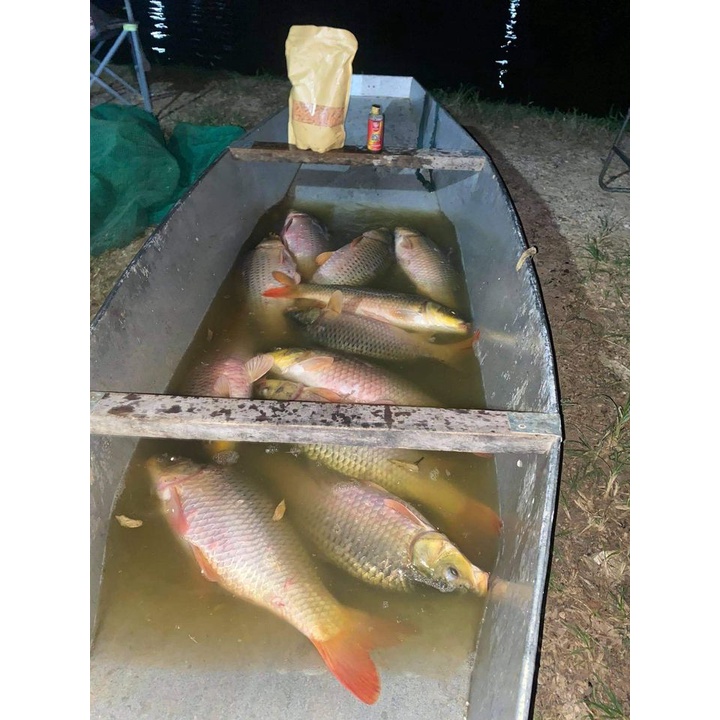 Combo câu cá Bá vương B52 + B25 chuyên trắm trắng, trôi, chép, rô phi,....  hương dụ b52 và xả  hạt tổng hợp B25