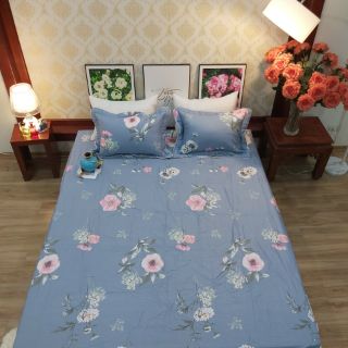 Bộ ga, gối cotton 2m2