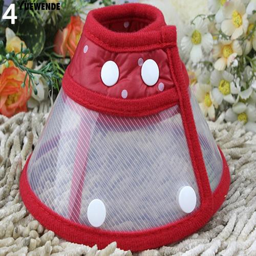 Vòng cổ hình nón hỗ trợ điều trị cho thú cưng