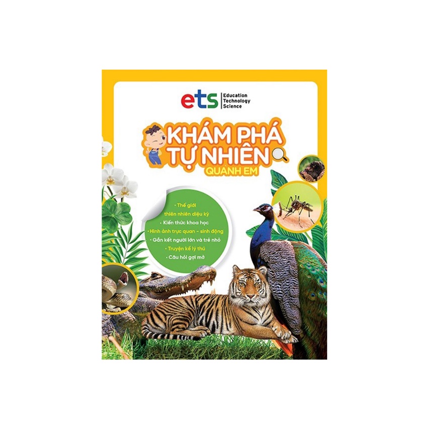 Sách - Bộ Khám Phá Tự Nhiên Quanh Em
