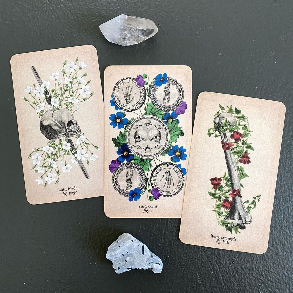 Bộ Bài Antique Anatomy Tarot (Mystic House Tarot Shop)