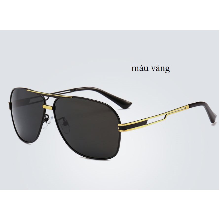 Mắt kính nam Shy Bird 8978 cao cấp