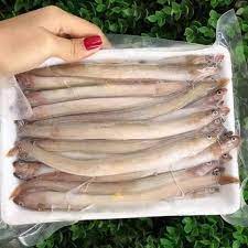 Cá Sụn Sịn 500 Gram Chế Biến Được Nhiều Món Cho Gia Đình