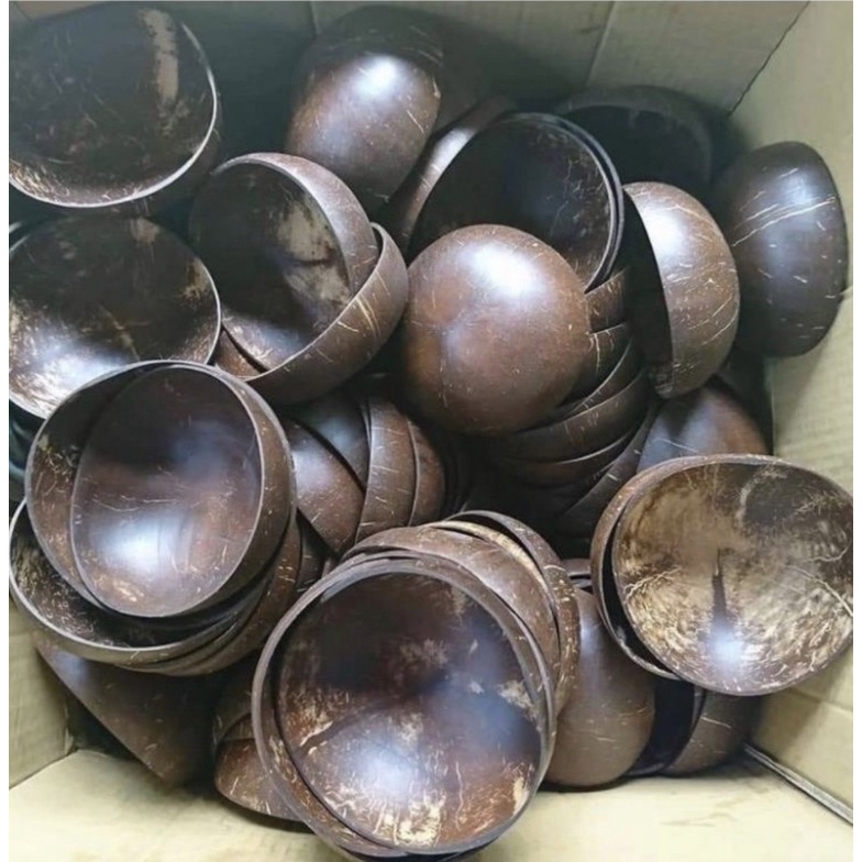 BÁT DỪA TẶNG 🎁THÌA GỖ, CHÉN DỪA