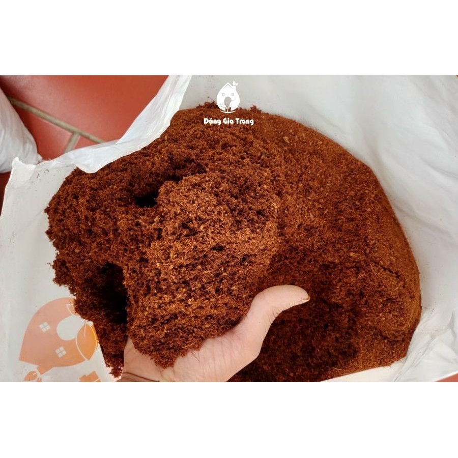 Mụn dừa Sfarm Đã qua xử lý