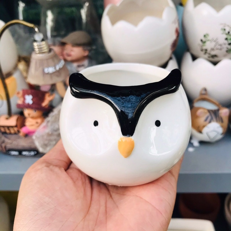 Chậu thú cute, trồng cây để bàn, chậu dễ thương nhiều hình ngộ nghĩnh
