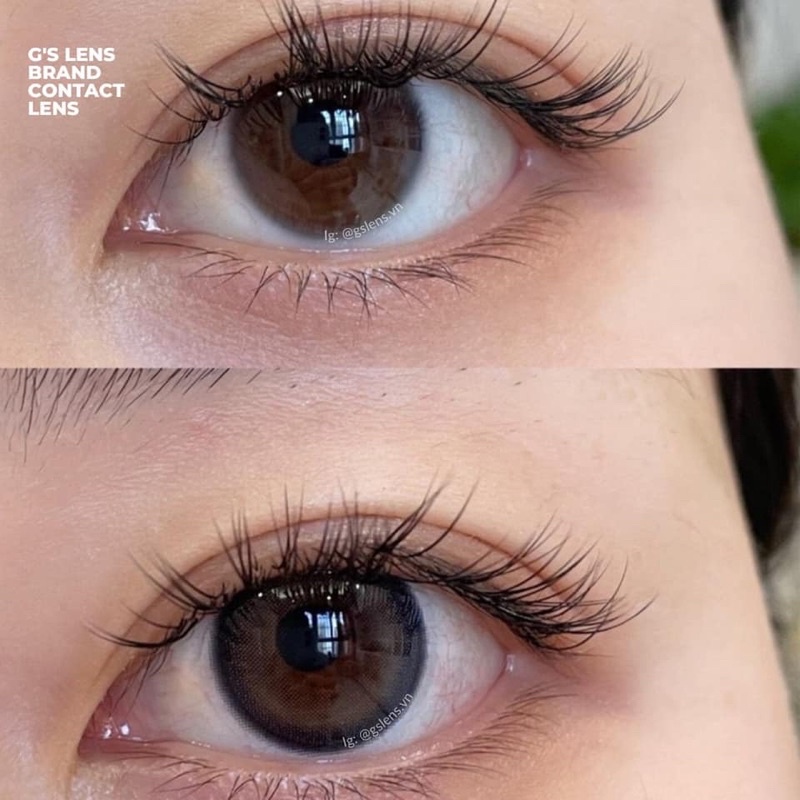 Lens Mắt Kính Áp Tròng Nâu Xanh Siêu Hot Giãn Ít Size S 14.2mm Có 0 Đến 6 Độ Cận Fb220 Brown