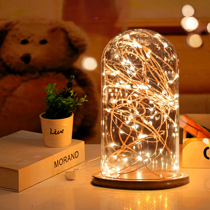 Dây đèn LED trang trí nhà ở/ngoài trời 3 chế độ 1/2M 10/20 LED