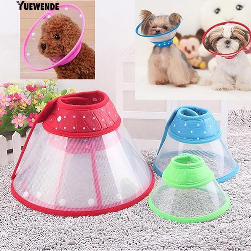 Vòng cổ hình nón hỗ trợ điều trị cho thú cưng