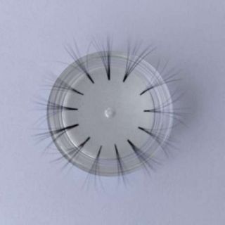 Hũ tạo fan mi volume