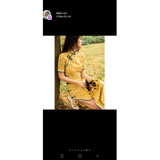 sườn xám vàng live