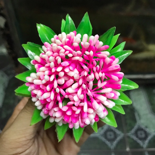 RONG GIẢ TRANG TRÍ HỒ CÁ NON BỘ ĐƯỜNG KÍNH 8CM CAO 6CM