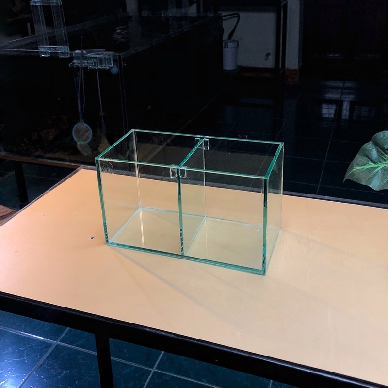 Keo betta 2 ngăn D20xR10xC12cm tấm ngăn có thể tháo rời