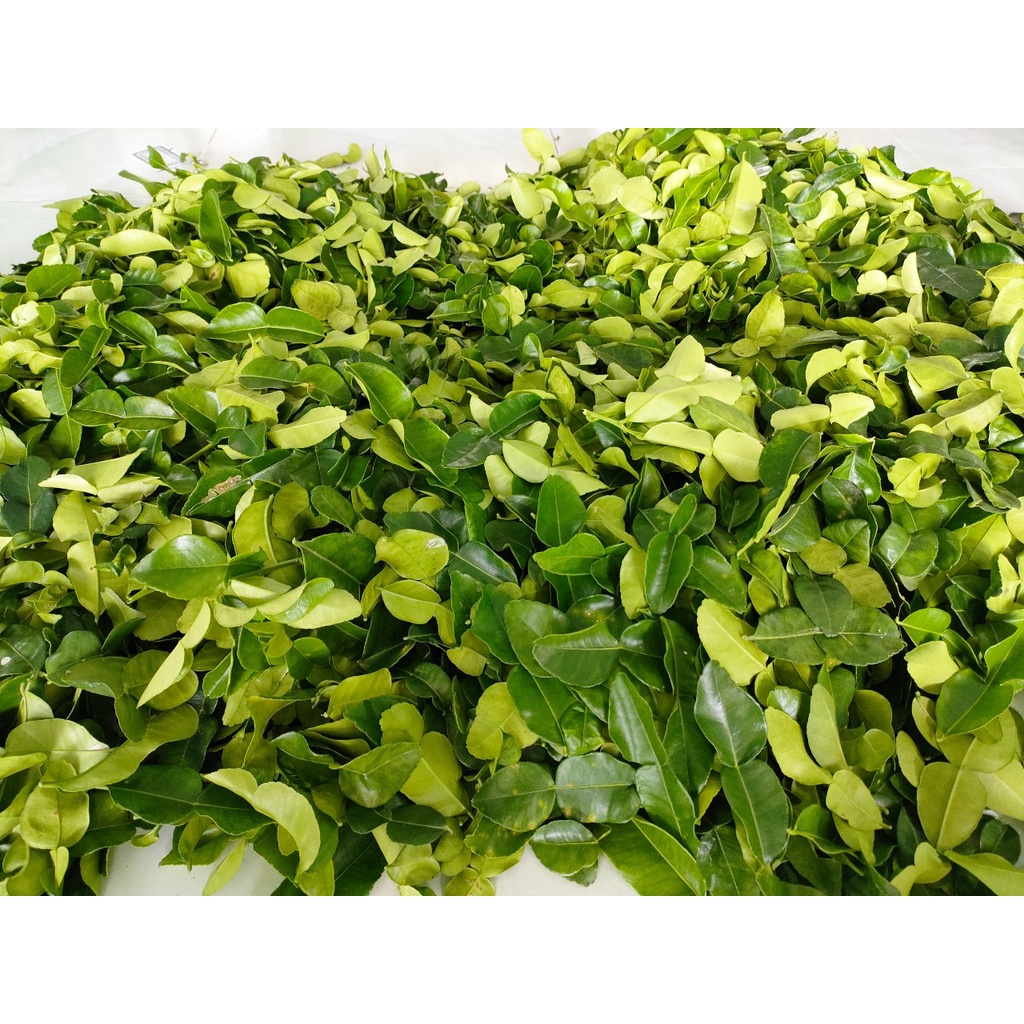 La chúc tươi 100g giá 20k