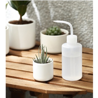 Bình nhỏ giọt ,bình tia nhựa vòi cong dung tích 250ml