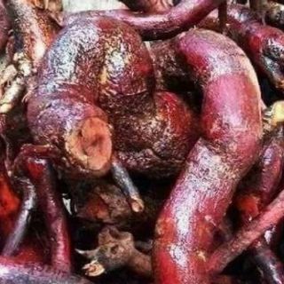 Cây Mú Từn 1kg