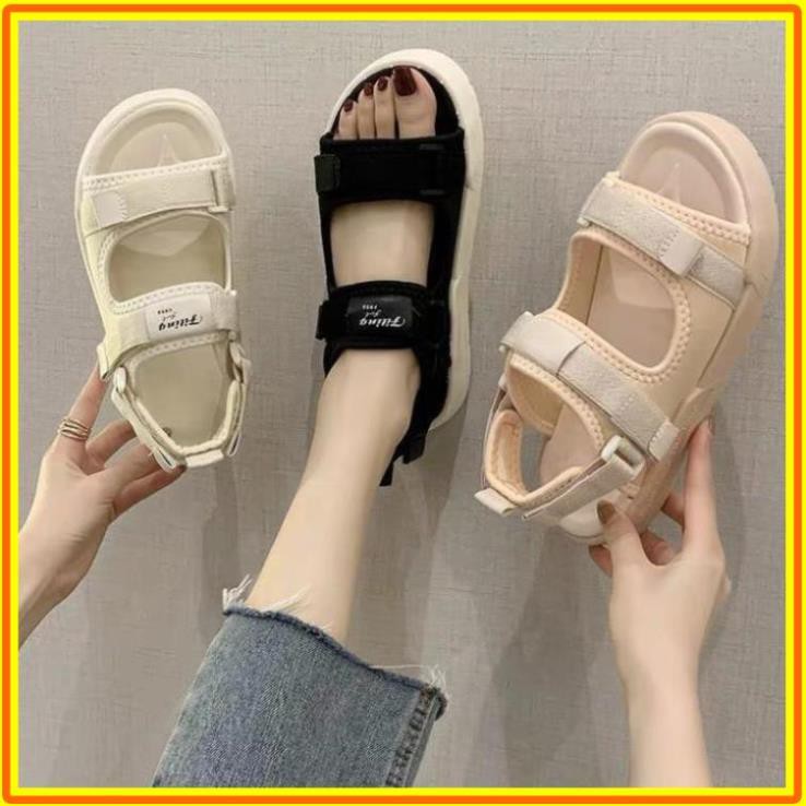 [B98] Saldan dễ thương