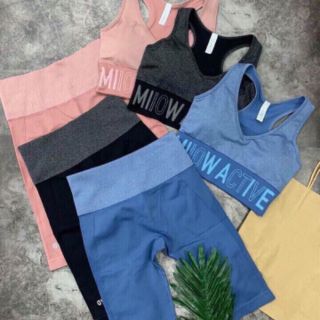 Set bộ đồ gym, yoga,aerobic nữ
