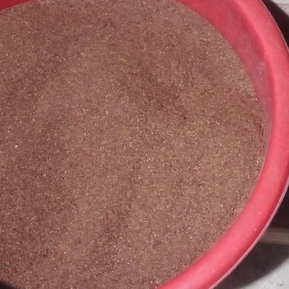 50Gram/gói Hạt giống cây gỗ bạch đàn đỏ