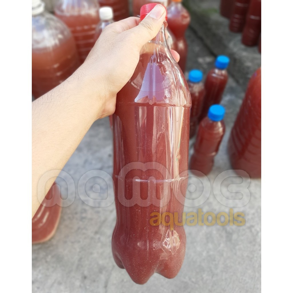 Vi sinh quang hợp PSB - Vi sinh làm sạch nước - Tạo môi trường có lợi cho cá tép - Loại 500ml