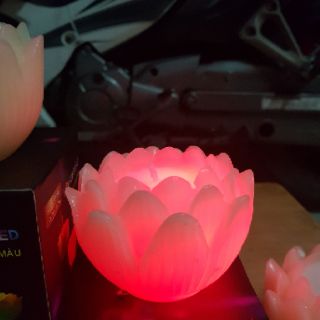 NẾN HOA SEN LED TỰ ĐỔI MÀU
