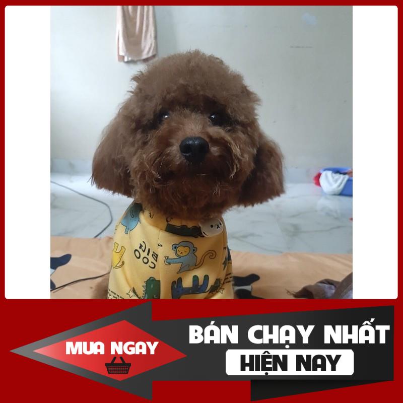 [❌GIÁ SỈ❌] Áo nỉ thú cưng 2020 0 ❤️