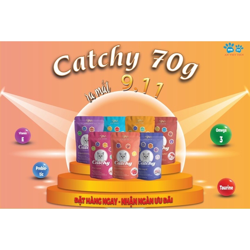 12 gói Thức ăn pate cho mèo 5Plus CATCHY 70g