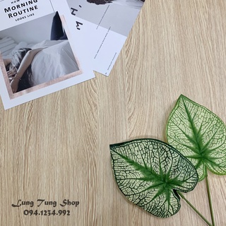 Phông nền giấy dán tường vân gỗ G4 - Thảm chụp hình vân gỗ , decal dán tường bàn tủ có sẵn keo