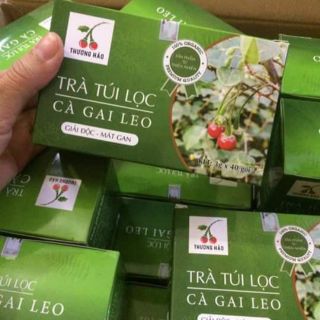 Trà túi lọc cà gai leo túi 20 gói
