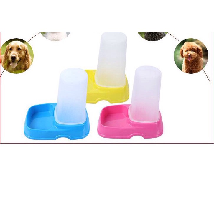 Bát ăn tự động cho thú cưng