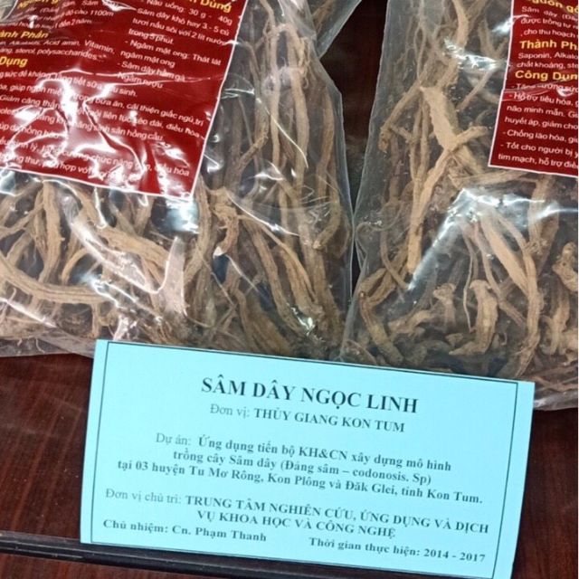 Sâm dây tươi rừng Tu Mơ Rông