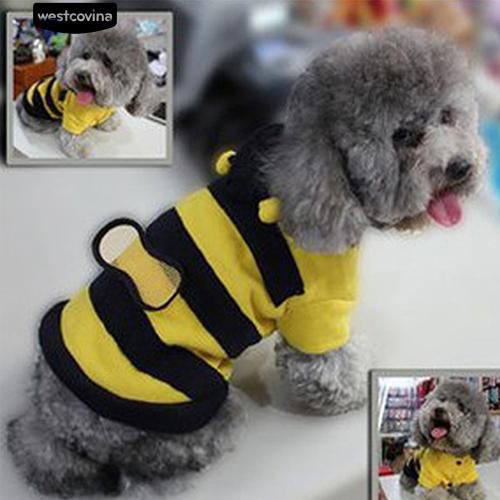 Áo nỉ họa tiết chú ong xinh xắn cho thú cưng