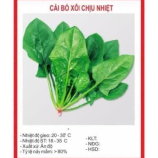 Hạt giống cải bó xôi 20gr ~2500 hạt