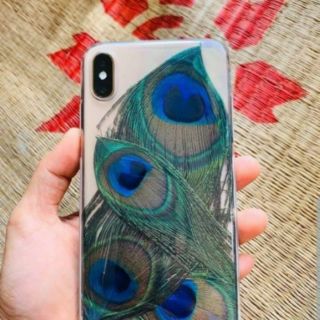 Lá Lông Công Phong Thủy🦚🦚