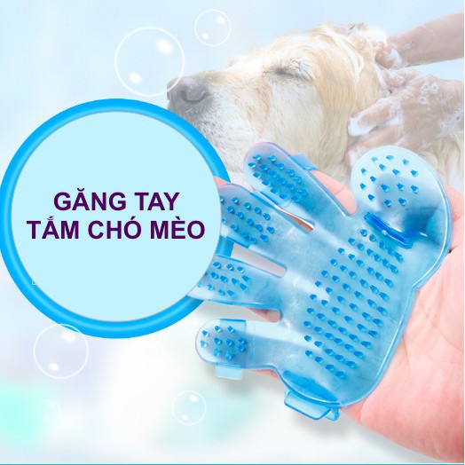 Bàn tay tắm cho chó mèo