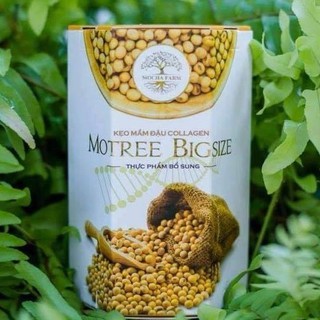 Kẹo Mầm Đậu Nành Collagen Motree Bigsize - Tăng Vòng 1