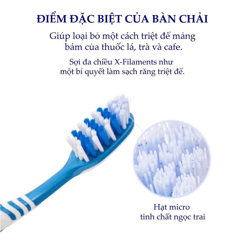 Bàn Chải Đánh Răng Dành Cho Người Hút Thuốc Lá Trisa For Smokers Giúp Làm Sạch Răng Thơm Miệng