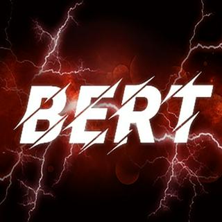 BERT TOOLS Official Store