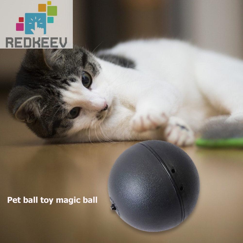 Set 5 quả bóng lăn tự động đồ chơi cho thú cưng